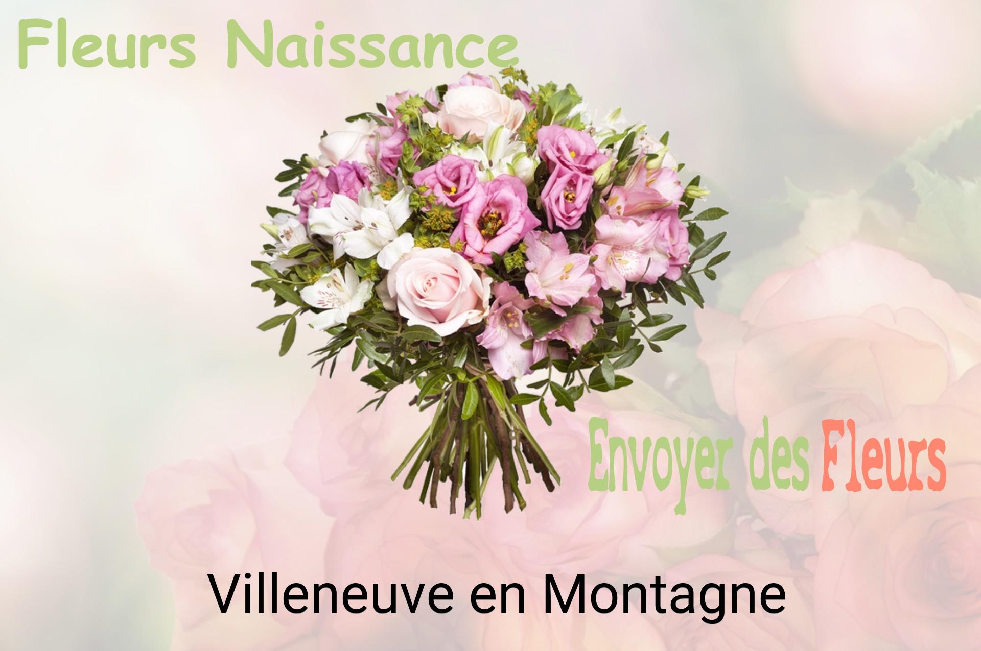 Bouquet de fleurs de naissance livré à Villeneuve-en-Montagne