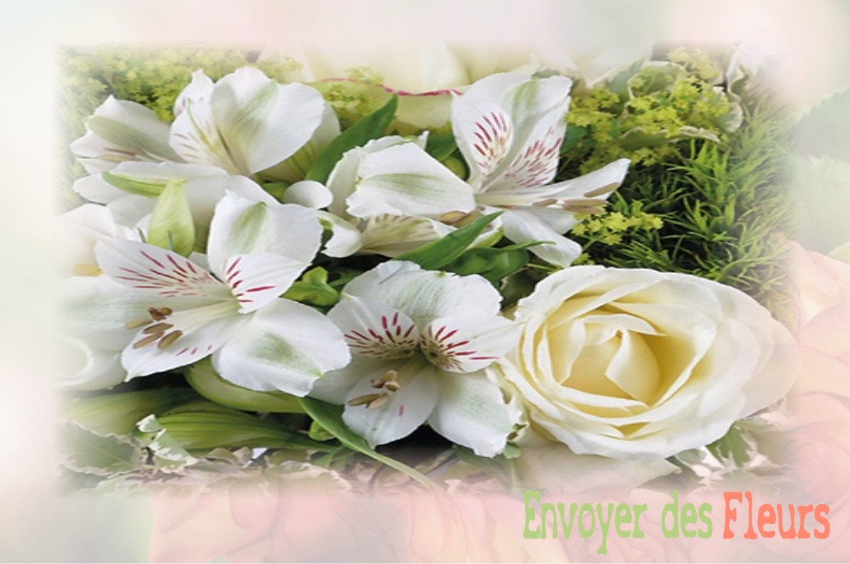 envoyer des fleurs à à VILLENEUVE-EN-MONTAGNE